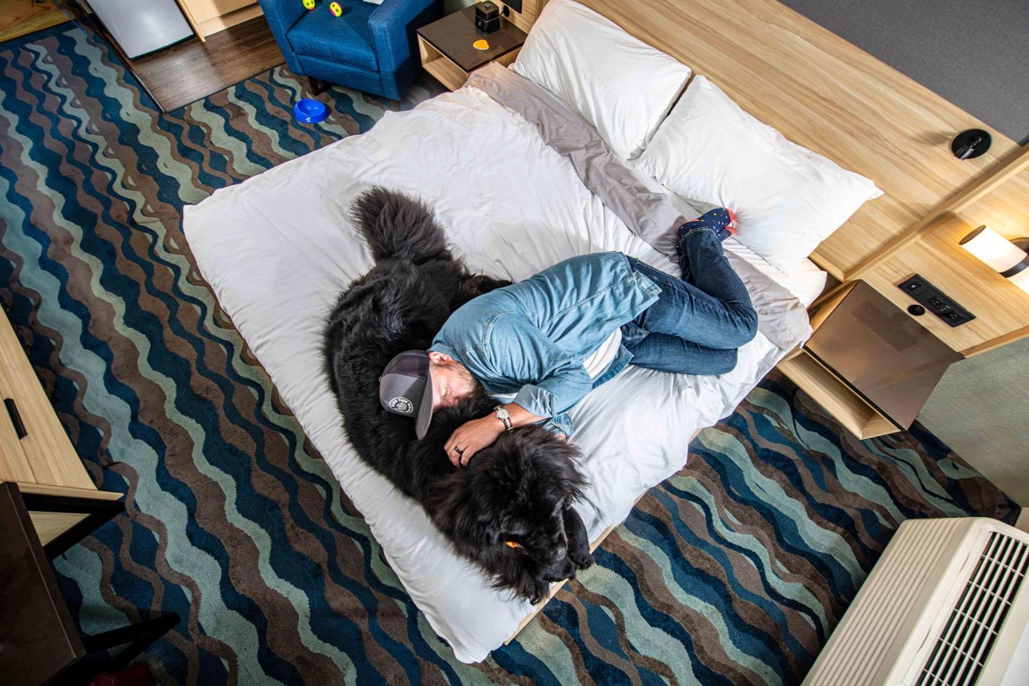 Accent Hotel 3*