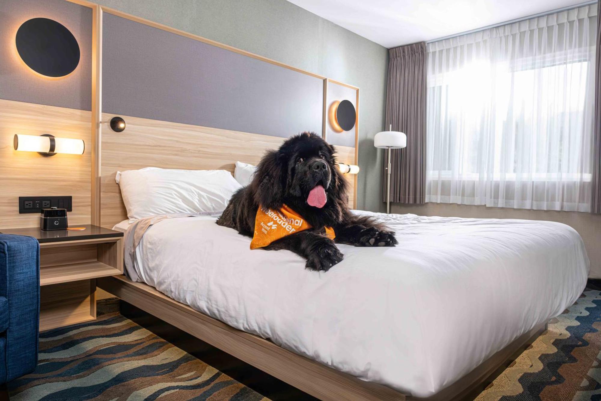 Accent Hotel Victoria
